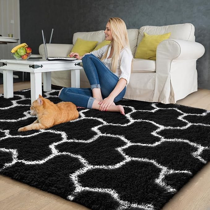 EVOIONOS Ultra Soft Area Rug for Bedroom, 4x6 Black and White Geometric Pattern Washable Fluffy Shag Rug for Living Room, Plush Non Slip Carpet for Indoor Floor Nursery Kids Dorm Home Decor Aesthetic