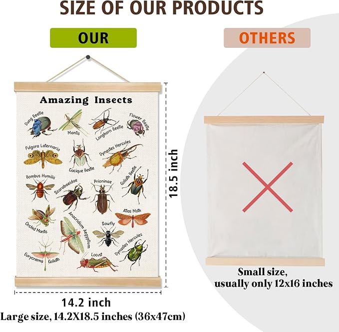 Amazing Insects Linen Canvas Wall Art Poster 18.5x14 Inch, Educational Bug and Beetle Learning Chart for Kids, Nature Science Classroom Decor, Vintage Biology Illustration for Playroom or Nursery