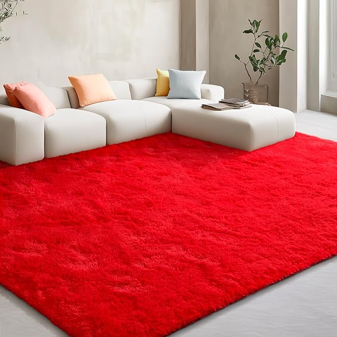 EVOIONOS Ultra Soft Area Rug for Bedroom, 4x6 Machine Washable Fluffy Shag Rug for Living Room, Plush Non Slip Carpet for Indoor Floor Bedside Nursery Kids Girls Room, Dorm, Home Decor Aesthetic, Red