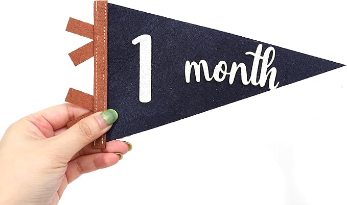 12 PCS Baby Monthly Milestone Felt Pennant - Navy Blue 1 to 12 Months Photo Props, Newborn Growth Record Triangle Banner, First Year Signs, Boys Monthly Photo Props