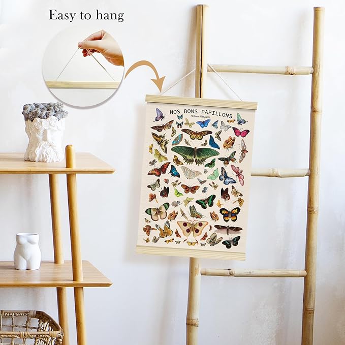 TRKAE Vintage Butterfly Canvas Poster Hanger Frame, Retro Style Papillon Wall Art, Aesthetic Wall Decor for Classroom Bedroom Playroom Office -030