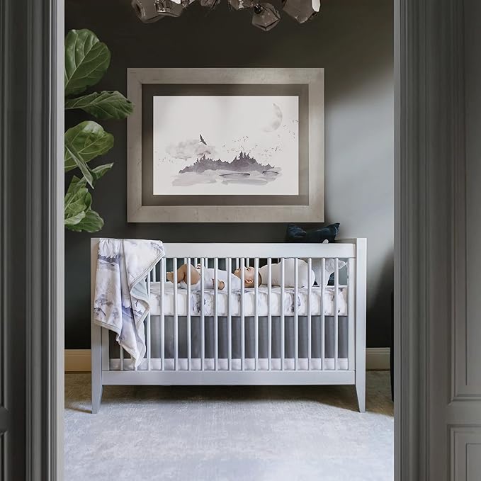 Oilo Baby Blanket, Luxury Soft Plush Chenille Backing & Turkish Cotton Jersey Print, Double Layered, 30" x 40", Rolled Jersey Edge Trim, Machine Wash, Perfect for Infant or Toddlers, Misty Mountain