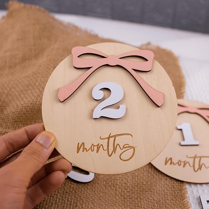 Daisy 3D Baby Monthly Milestone, Wooden Baby Milestone Signs, Monthly Milestone Wood Discs, Baby Milestone Discs (A24)