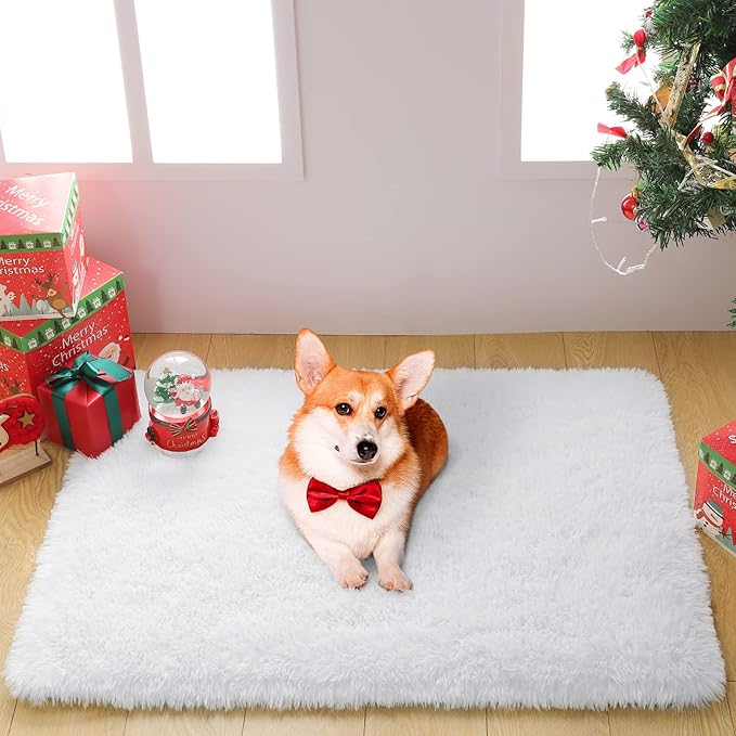 Merelax Soft Modern Indoor Shaggy Area Rug for Bedroom Livingroom Dorm Kids Room Home Decorative, Non-Slip Plush Fluffy Furry Fur Rugs Comfy Nursery Accent Floor Carpet 2x3 Feet, White
