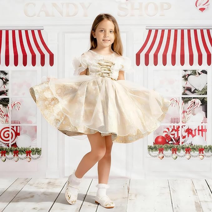 Kate White Wood Floor Mat Photography Floor Mat Newborn Photography Props Rubber Wooden Wall Flooring Backdrop for Professional Photographer 5x4ft