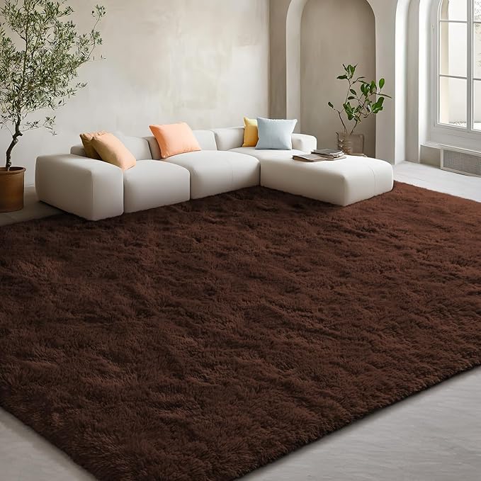 EVOIONOS 5x8 Washable Large Area Rug for Living Room, Fluffy Shag Rug for Bedroom, Ultra Soft Plush Non Slip Carpet for Indoor Floor Bedside Nursery Kids Girls Room Dorm, Home Decor Aesthetic, Coffee