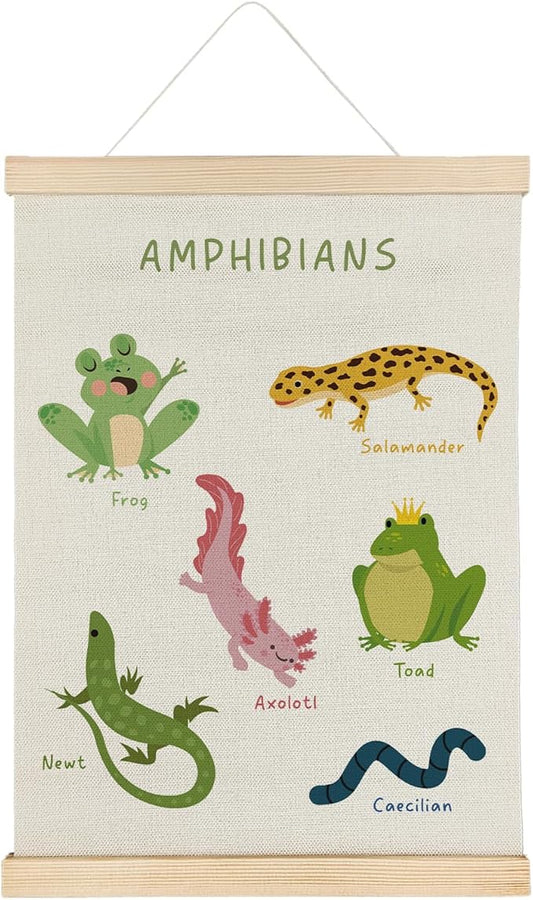 SereneHanctuary Amphibian Animal Wall Art, Animal Nursery Wall Decor, Boho Amphibians Educational Poster Hanger Frame for Toddler Kids Bedroom Nursery Playroom Classroom Decor, 12x16 Inches