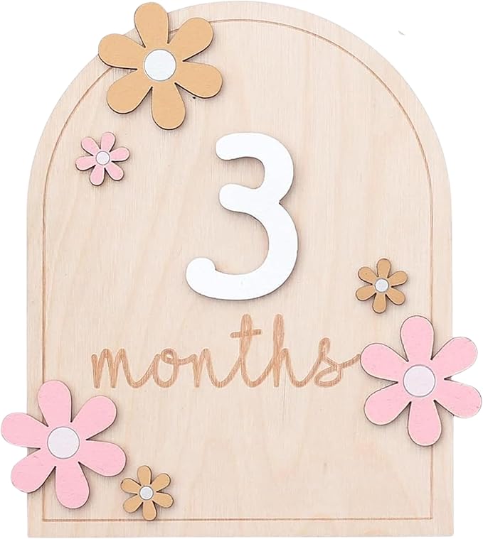 Baby Monthly Milestone Sign,1-12 Monthly Milestone Signs, Baby Girl Nursery Decoration, Newborn Photography Props Double-Sided (M01)