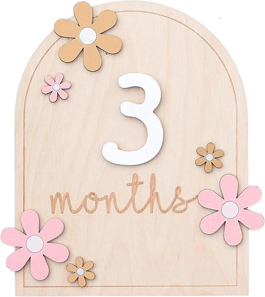 Baby Monthly Milestone Sign,1-12 Monthly Milestone Signs, Baby Girl Nursery Decoration, Newborn Photography Props Double-Sided (M01)