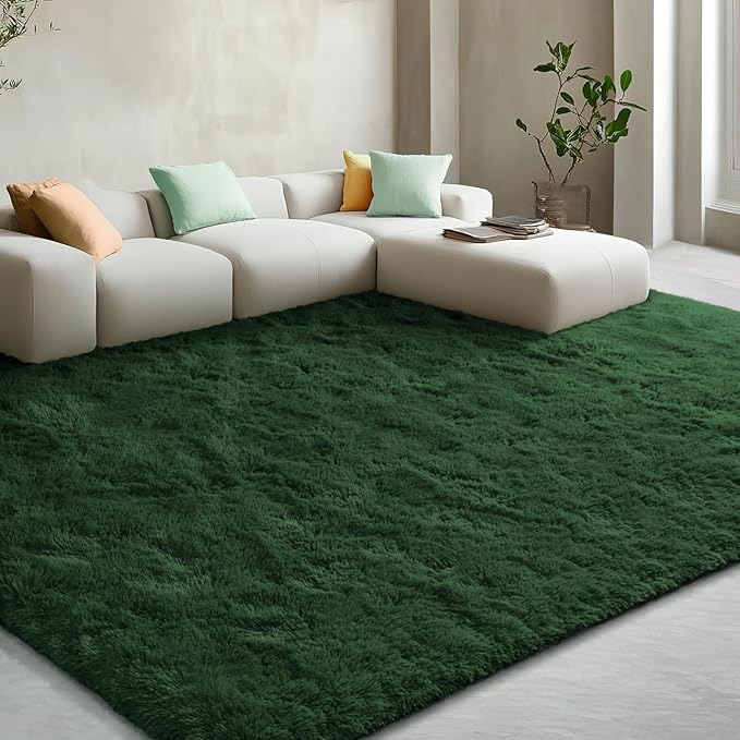 EVOIONOS Ultra Soft Area Rug for Bedroom, 4x6 Machine Washable Fluffy Shag Rug for Living Room, Plush Non Slip Carpet for Indoor Floor Bedside Nursery Kids Girls Room Dorm, Home Decor Aesthetic, Green