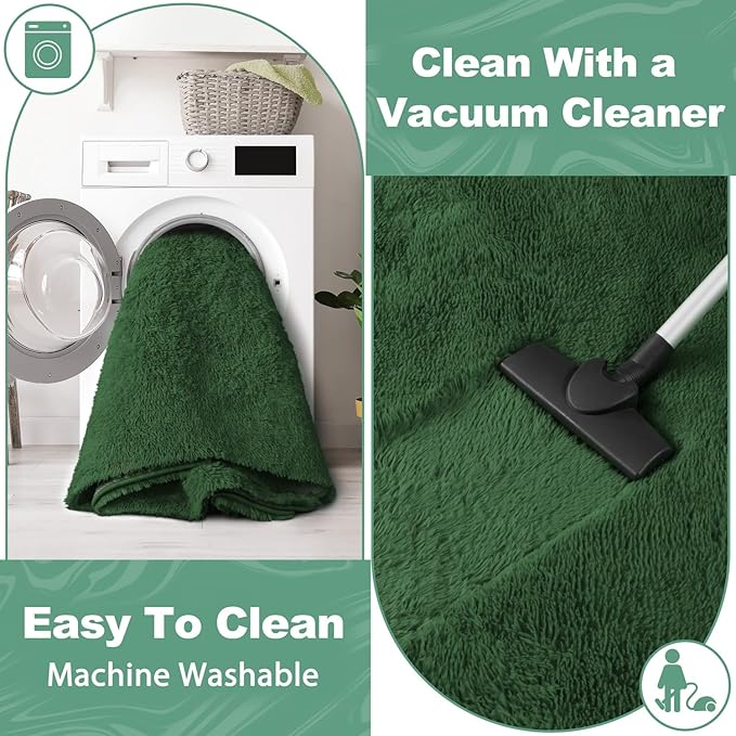 EVOIONOS 5x8 Washable Large Area Rug for Living Room, Fluffy Shag Rug for Bedroom, Ultra Soft Plush Non Slip Carpet for Indoor Floor Bedside Nursery Kids Girls Room Dorm, Home Decor Aesthetic, Green