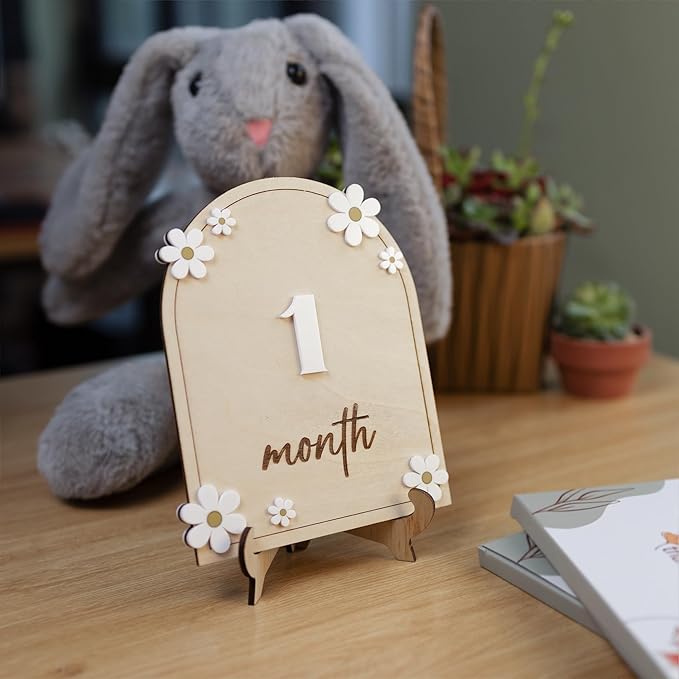 Wooden 3D Baby Monthly Milestone Cards Monthly Milestone Discs Newborn Photography Props Baby Announcement Sign Baby (Daisy)