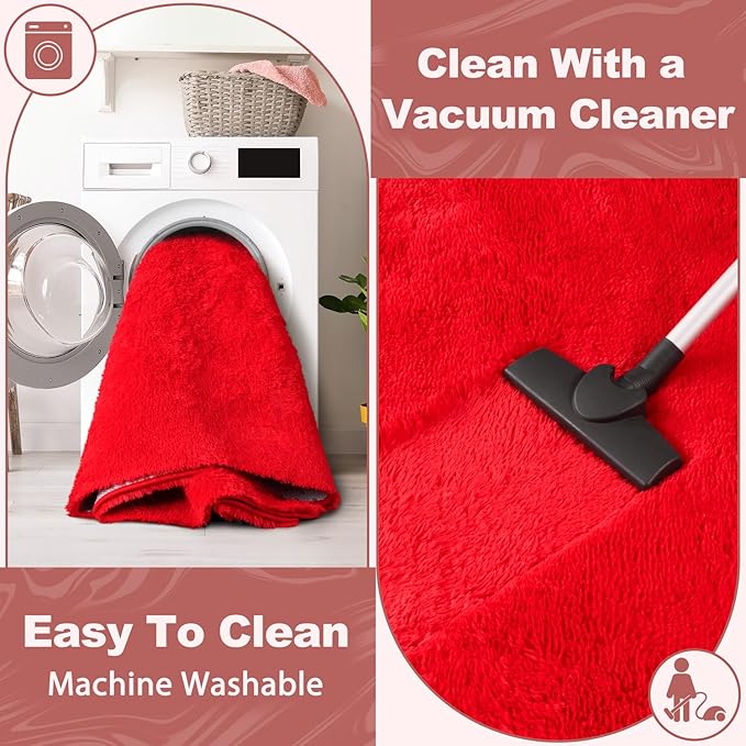 EVOIONOS Ultra Soft Area Rug for Bedroom, 4x6 Machine Washable Fluffy Shag Rug for Living Room, Plush Non Slip Carpet for Indoor Floor Bedside Nursery Kids Girls Room, Dorm, Home Decor Aesthetic, Red