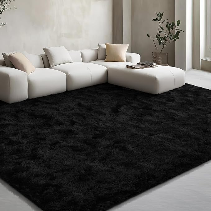 EVOIONOS Ultra Soft Area Rug for Bedroom, 4x6 Machine Washable Fluffy Shag Rug for Living Room, Plush Non Slip Carpet for Indoor Floor Bedside Nursery Kids Girls Room Dorm, Home Decor Aesthetic, Black