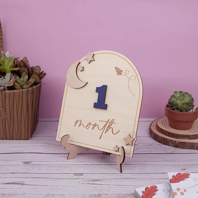 Wooden 3D Baby Monthly Milestone Cards Monthly Milestone Discs Newborn Photography Props Baby Announcement Sign Baby (Moon)