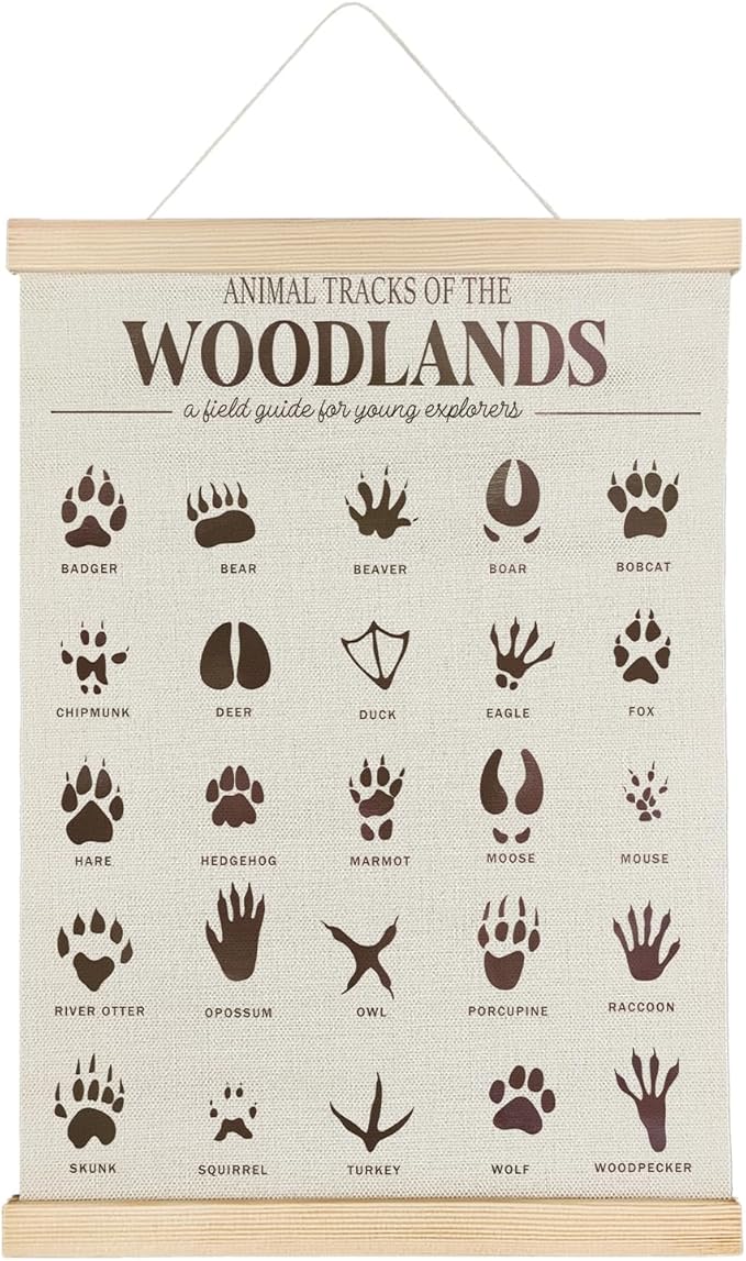 SereneHanctuary Forest Animal Tracks Nursery Decor,Forest Animal Kids Room Wall Art,Animal Tracks Playroom Poster Hanger Frame for Bedroom Nursery Kids Toddler Room Decor,12X16Inches