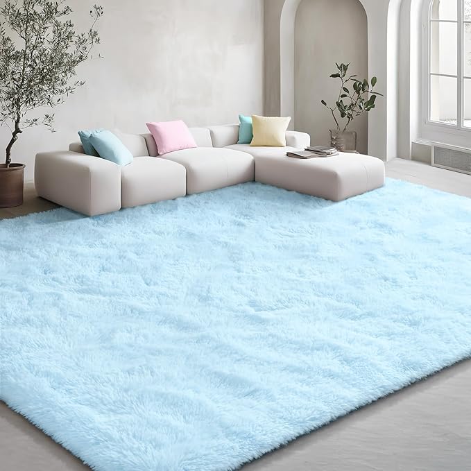 EVOIONOS 5x7 Washable Large Area Rug for Living Room, Fluffy Shag Rug for Bedroom, Ultra Soft Plush Non Slip Carpet Indoor Floor Bedside Nursery Kids Girls Room Dorm, Home Decor Aesthetic, Light Blue