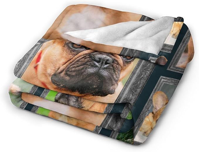 French Bulldog Gifts & Decor: Cute Dog Throw Blanket - Soft, Warm, Cozy Fleece for Couch, Sofa, Bed - 80"x60"