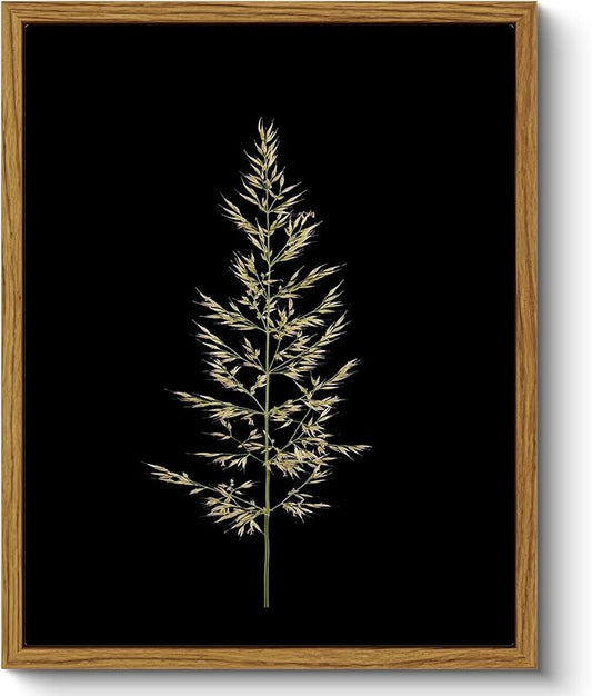 ARPEOTCY Vintage Framed Botanical Wall Art, Bedroom Bathroom Reed Grass Dark Black Art Decor, Canvas Print Retro Paintings, Home Neutral Farmhouse Fall Moody Decor, 8x10 Inch