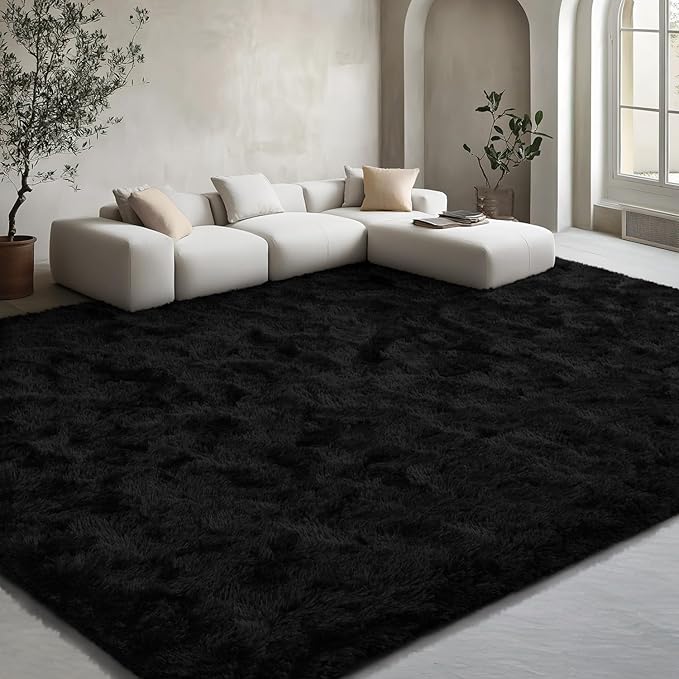 EVOIONOS 5x8 Washable Large Area Rug for Living Room, Fluffy Shag Rug for Bedroom, Ultra Soft Plush Non Slip Carpet for Indoor Floor Bedside Nursery Kids Girls Room Dorm, Home Decor Aesthetic, Black