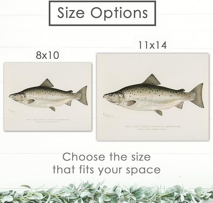 DREAM BIG PRINTABLES Vintage Fishing Decor (Set of 6) - Unframed - 8x10s | Fish Wall Art Prints | Great Gift for Fishermen