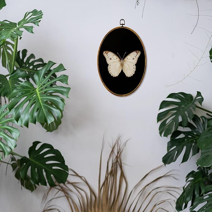 Hiuwevt Vintage White Butterfly Oval Wall Art Decor, Retro Antique Moth Framed Canvas Prints, Neutral Moody Insect Oval Wall Hanging Decor for Home Bedroom Gallery Decorations, 8.6x11.4 Inches