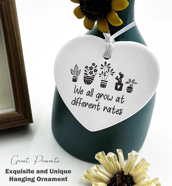 Heart Shaped Christmas Ornament-Birthday Inspirational Quotes Gift-Funny Affirmations Positive Motivational Encouragement Present We All Grow at Different Rates Keepsake