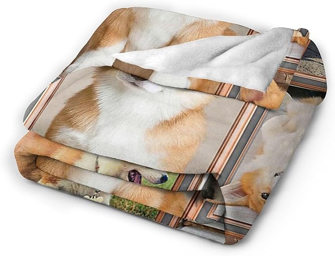 Jerkboo Corgi Blanket Throw - Cute Dog Gifts for Girls, Women, Kids, Adults - Soft Warm Cozy Fleece Blanket for Couch, Sofa, Bed 60"x50"