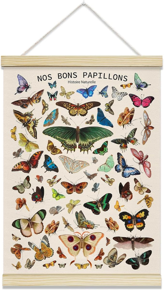 TRKAE Vintage Butterfly Canvas Poster Hanger Frame, Retro Style Papillon Wall Art, Aesthetic Wall Decor for Classroom Bedroom Playroom Office -030