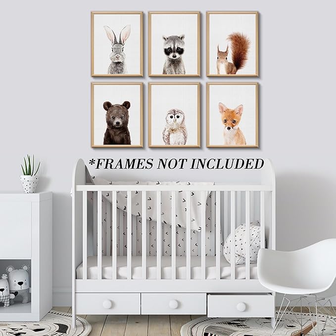 Jungle Safari Decor - Cute Animal Wall Art, Baby Bedroom Decor (8"x10", UNFRAMED) (Forest)