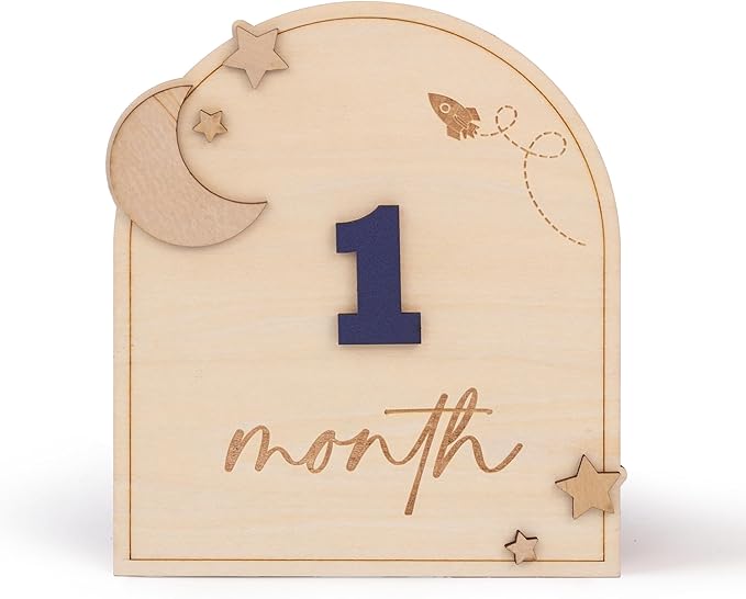 Wooden 3D Baby Monthly Milestone Cards Monthly Milestone Discs Newborn Photography Props Baby Announcement Sign Baby (Moon)