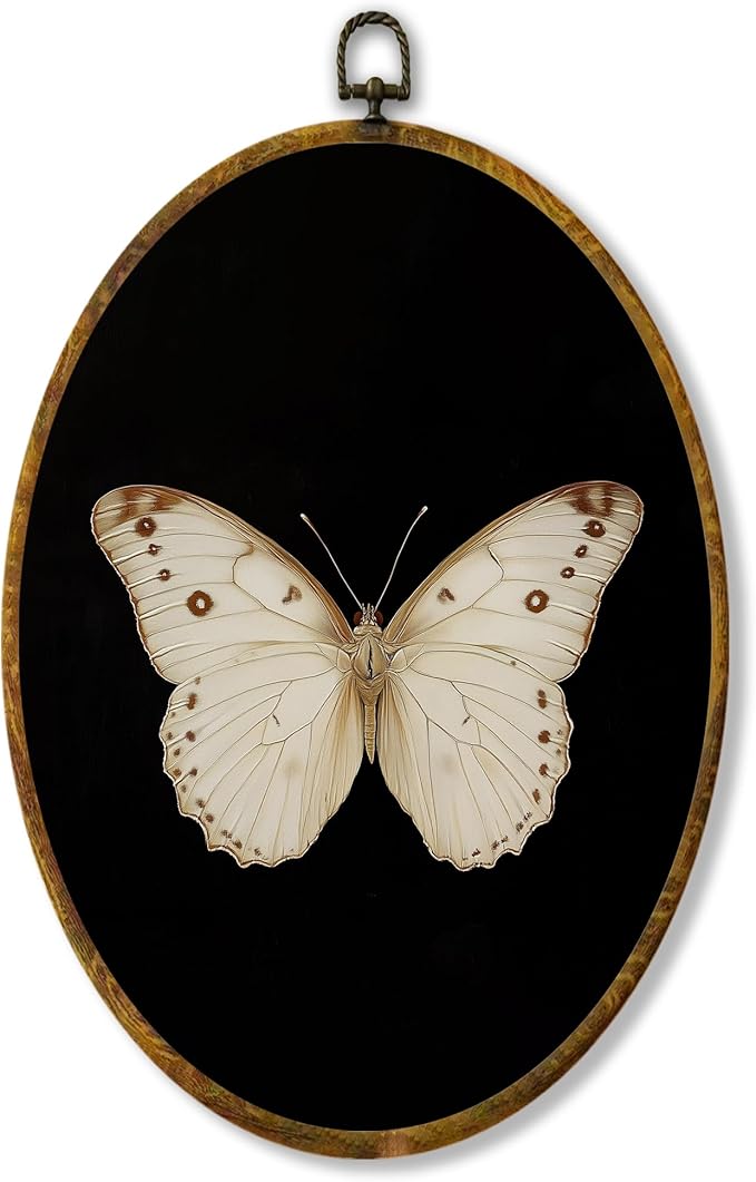 Hiuwevt Vintage White Butterfly Oval Wall Art Decor, Retro Antique Moth Framed Canvas Prints, Neutral Moody Insect Oval Wall Hanging Decor for Home Bedroom Gallery Decorations, 8.6x11.4 Inches
