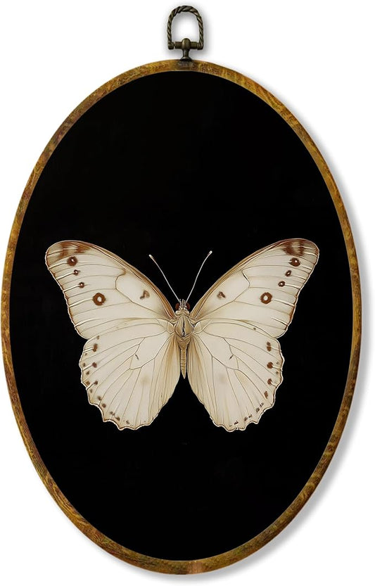Hiuwevt Vintage White Butterfly Oval Wall Art Decor, Retro Antique Moth Framed Canvas Prints, Neutral Moody Insect Oval Wall Hanging Decor for Home Bedroom Gallery Decorations, 8.6x11.4 Inches