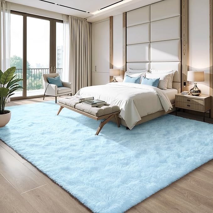 EVOIONOS 5x8 Washable Large Area Rug for Living Room, Fluffy Shag Rug for Bedroom, Ultra Soft Plush Non Slip Carpet Indoor Floor Bedside Nursery Kids Girls Room Dorm, Home Decor Aesthetic, Light Blue