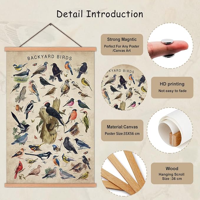 KAIRNE Vintage Backyard Birds Canvas Wall Art Set,Bird Identification Poster Chart,Hummingbird Decor,Birds Art Prints(35x56cm)landscape Wall Decor,Ideal Nature-Inspired Home Decor for Bird Enthusiasts