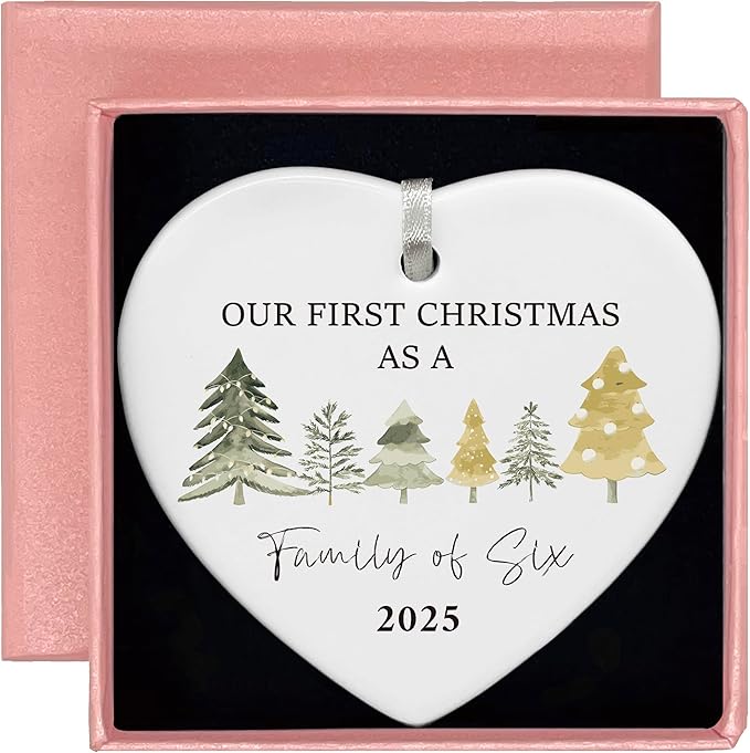 2025 Christmas Tree Ornament Decor Gift-Our First Christmas as a Family of Six-New Parents Mom Dad Gift-Baby,Shower Present for New Baby Newborn-The Fourth Child Present-Home Decor-Tree Theme
