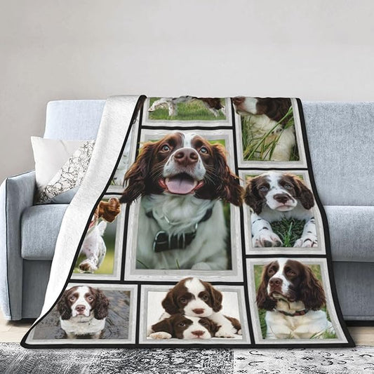 English Springer Spaniel Blanket Springer Spaniel Decor Throw Blanket Soft Flannel Fluffy Plush Fuzzy Fleece Stuff Blanket Gifts for Dog Lover Girl Kids Man Woman Boys Adults for Bed Sofa 50"X60"