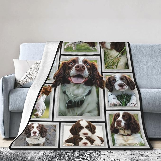 English Springer Spaniel Blanket Springer Spaniel Decor Throw Blanket Soft Flannel Fluffy Plush Fuzzy Fleece Stuff Blanket Gifts for Dog Lover Girl Kids Man Woman Boys Adults for Bed Sofa 60"X80"