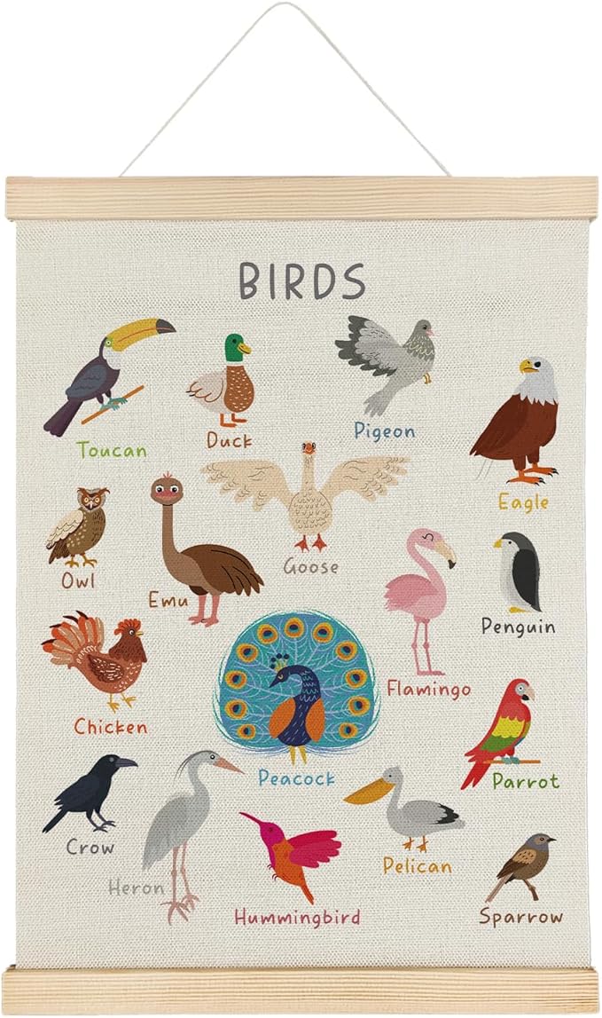 SereneHanctuary Bird Wall Art, Boho Educational Nursery Wall Decor, Birds Animal Poster Hanger Frame for Toddler Kids Room Bedroom Nursery Playroom Classroom Decor,12x16 Inches