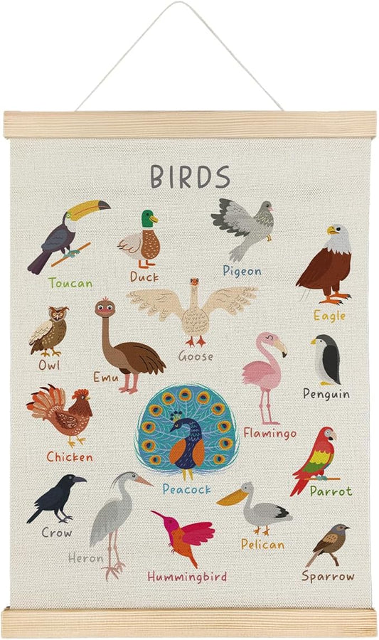 SereneHanctuary Bird Wall Art, Boho Educational Nursery Wall Decor, Birds Animal Poster Hanger Frame for Toddler Kids Room Bedroom Nursery Playroom Classroom Decor,12x16 Inches