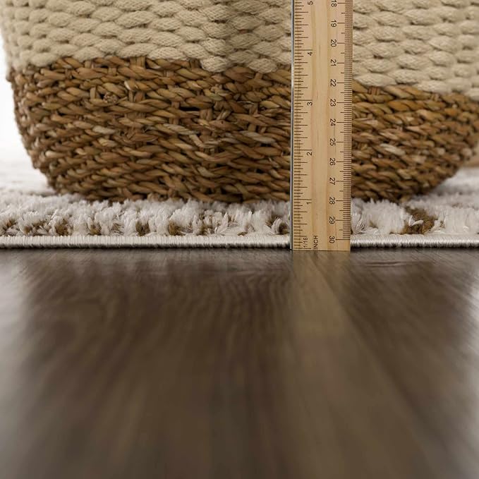 Hauteloom Leryn Living Room, Bedroom Area Rug - Farmhouse - High Pile - Bone - 9'2" x 12'