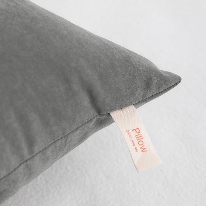 NTBAY Toddler Pillows, Down Alternative 13"x18" Pillow, Machine Washable - Soft and Breathable Travel Small Pillows for Sleeping, Ideal for Daycare, Crib, Cot, Dark Grey