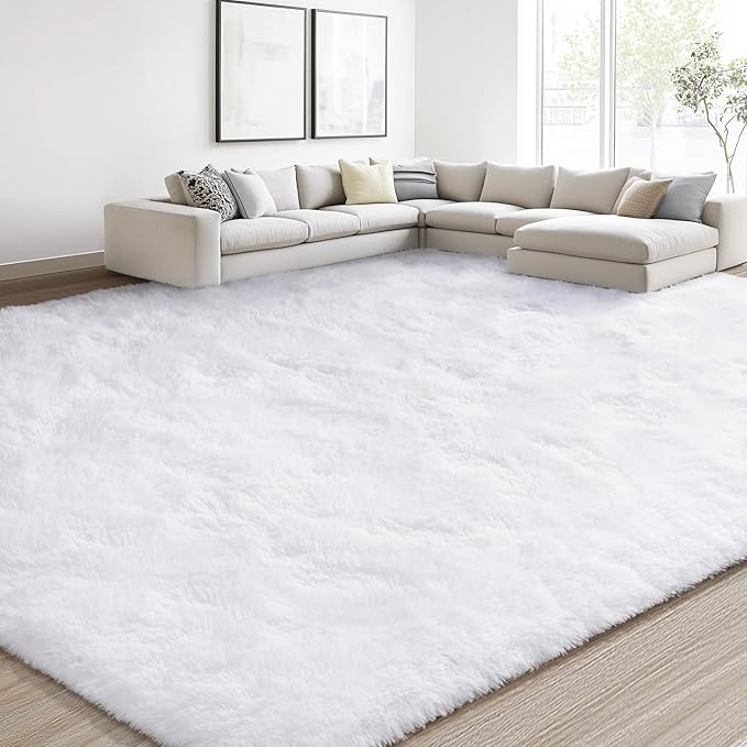 EVOIONOS 8x10 Washable Large Area Rug for Living Room, Fluffy Shag Rug for Bedroom, Ultra Soft Plush Non Slip Carpet for Indoor Floor Bedside Nursery Kids Girls Room Dorm, Home Decor Aesthetic, White