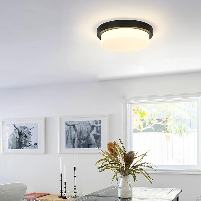 Black Flush Mount Ceiling Light, 13inch Close to Ceiling Light Fixtures 24W 2200lm Dimmable 2700K/3000K/4000K/5000K/6000K LED Ceiling Lamp for Bedroom Hallway Kitchen, AD-22008-L-BK