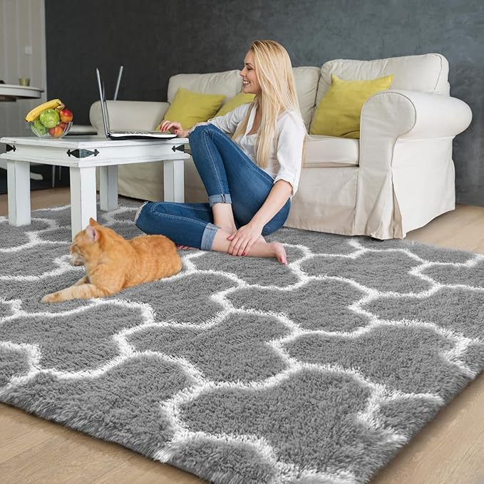 EVOIONOS Ultra Soft Area Rug for Bedroom, 4x6 Grey and White Geometric Pattern Washable Fluffy Shag Rug for Living Room, Plush Non Slip Carpet for Indoor Floor Nursery Kids Dorm Home Decor Aesthetic