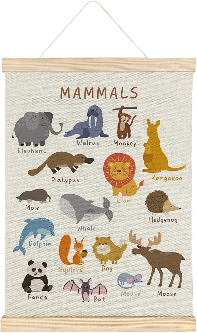 SereneHanctuary Mammal Animal Wall Art,Educational Animal Nursery Wall Decor, Boho Mammals Poster Hanger Frame for Toddler Kids Room Bedroom Nursery Playroom Classroom Decor,12x16 Inches