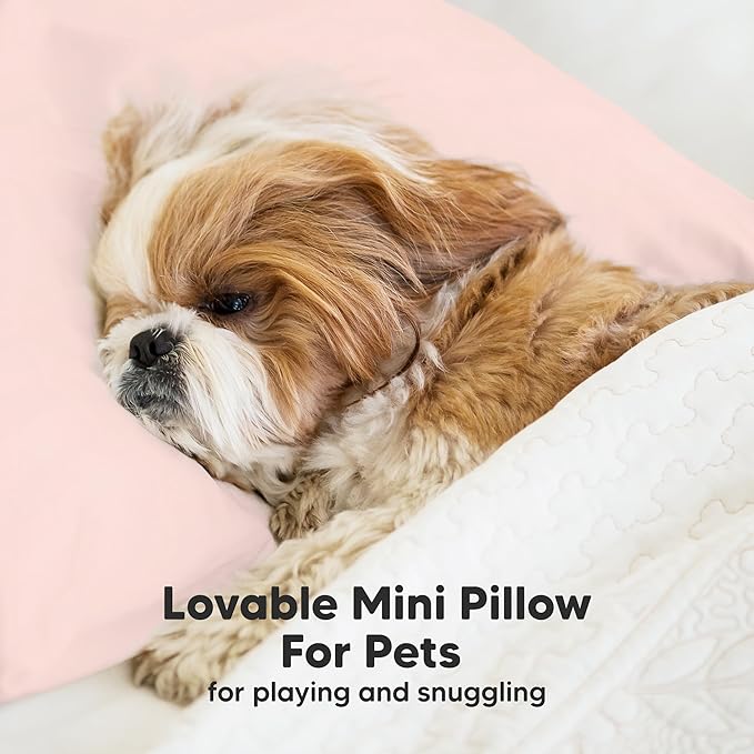 Mini Toddler Pillow with Pillowcase - 9x13 My Little Dreamy Travel Kids Pillow for Sleeping, Toddler Bed, Small, Tiny, Organic Cotton Pillowcase, Soft & Breathable, Kids 2-4 Years Old (Mist Pink)