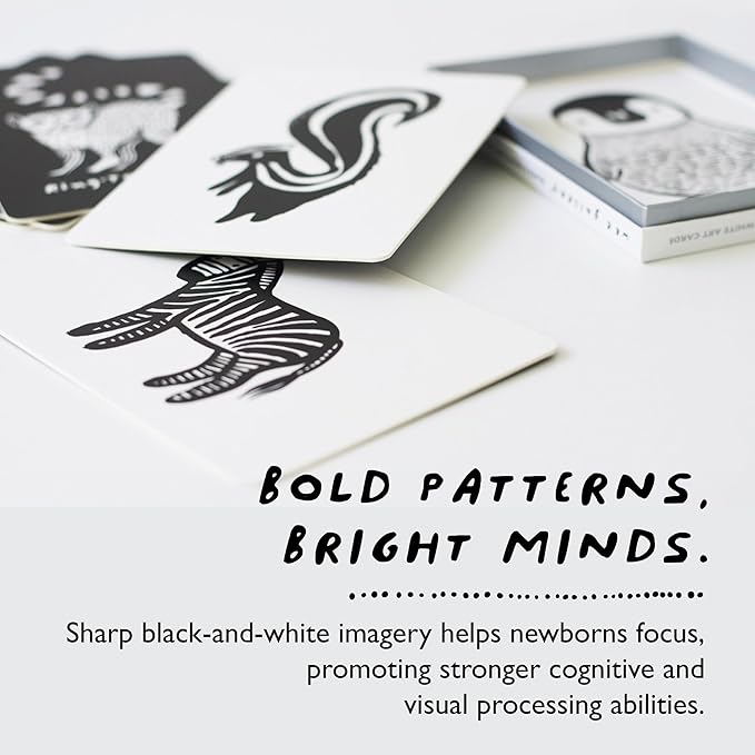 Wee Gallery Art Cards for Baby, Durable High Contrast Black and White Animal Flashcards for Newborns, Brain Development, Sensory Toys, Tummy Time Essentials for Infant and Toddler - Rainforest Animals