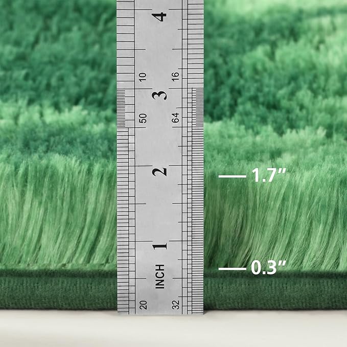 Large Shag Area Rugs 5 x 8, Plush Fuzzy Rugs for Living Room, Ultra Soft Fluffy Furry Rug for Bedroom, Indoor Carpet Nursery Rugs for Kids Room Home Decor, Tie-Dyed Emerald Green