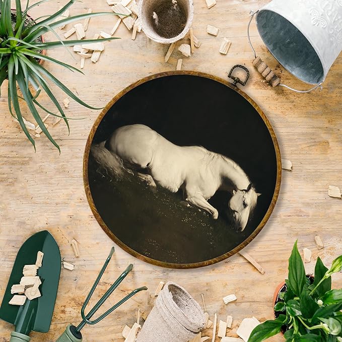 Hiuwevt Vintage White Horse Round Wall Art Decor, Horse Gifts for Women Wall Framed Canvas Prints, Moody Dark Academia Animal Round Hanging Decor for Bedroom Living Room Decorations, 10x10 Inches